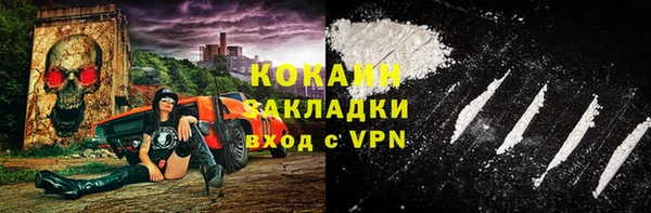 дмт Дмитров