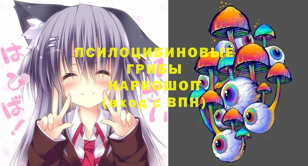 тгк Дмитриев