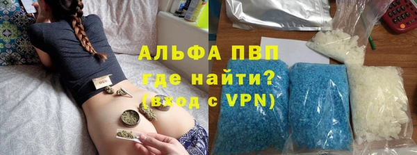 дмт Дмитров