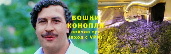 тгк Дмитриев