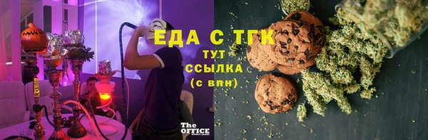 тгк Дмитриев