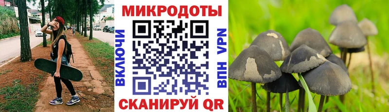 Псилоцибиновые грибы GOLDEN TEACHER  где купить   Юрьев-Польский 